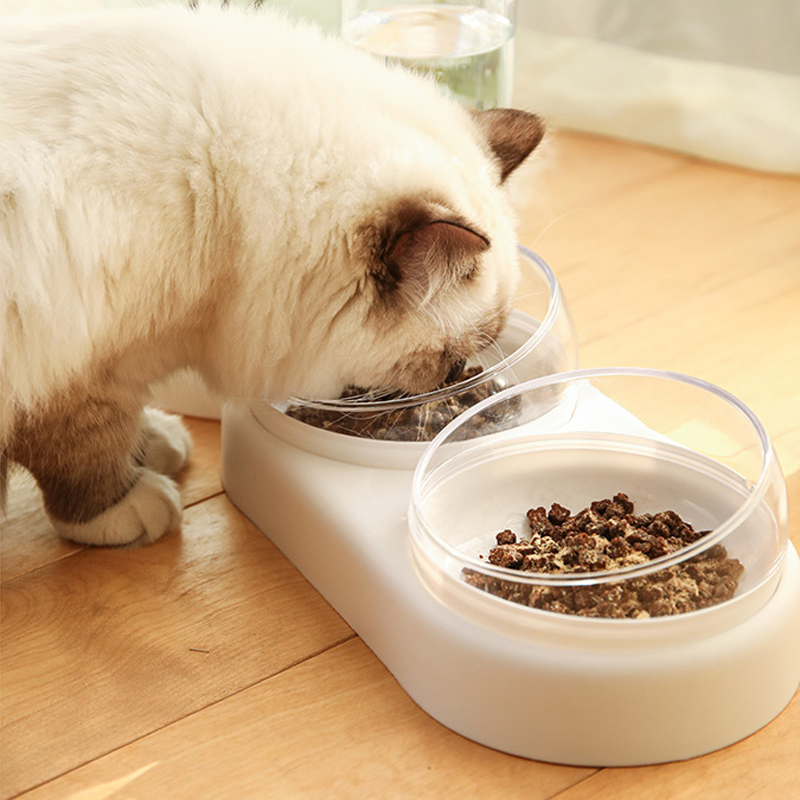Automatic Double Feeder Bowl For Dog & Cat