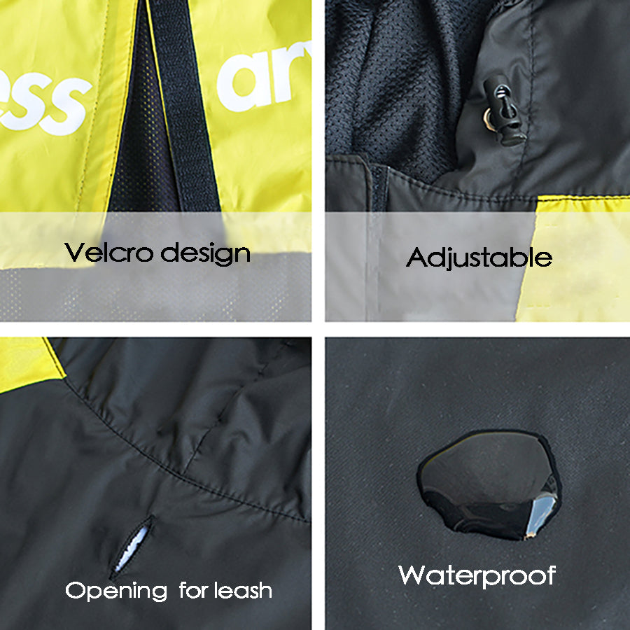Dog Windproof Letter Hoodie
