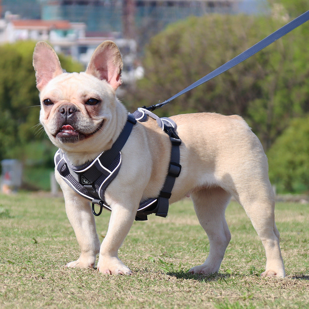 Pet Reflective Nylon Harness