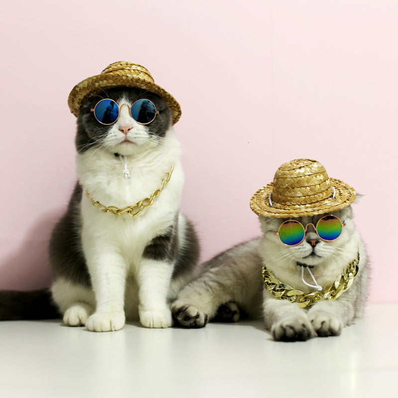 Cute Retro Pet Sunglasses