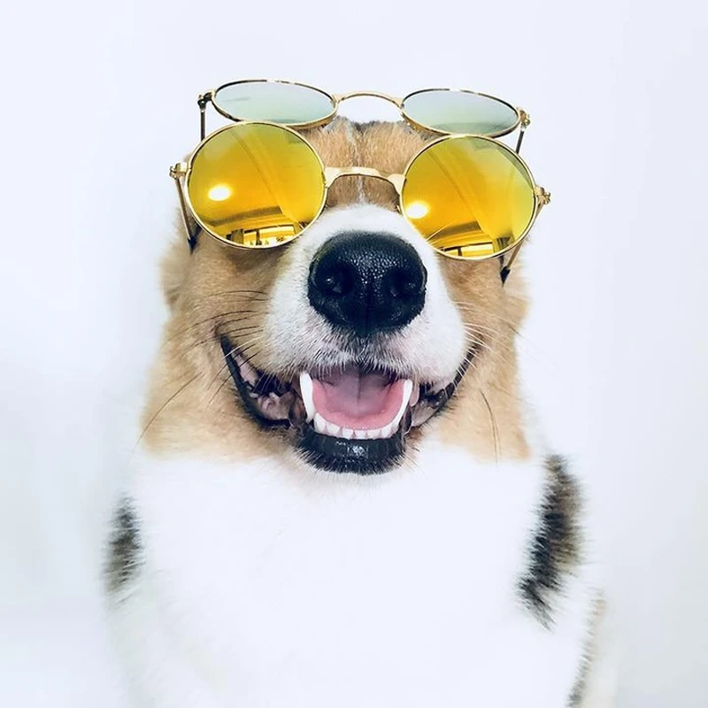 Cute Retro Pet Sunglasses