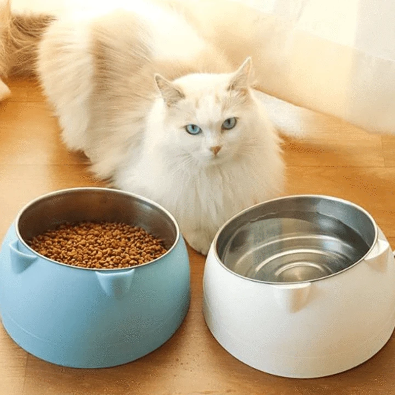 Raised Stainless Steel Cat & Dog