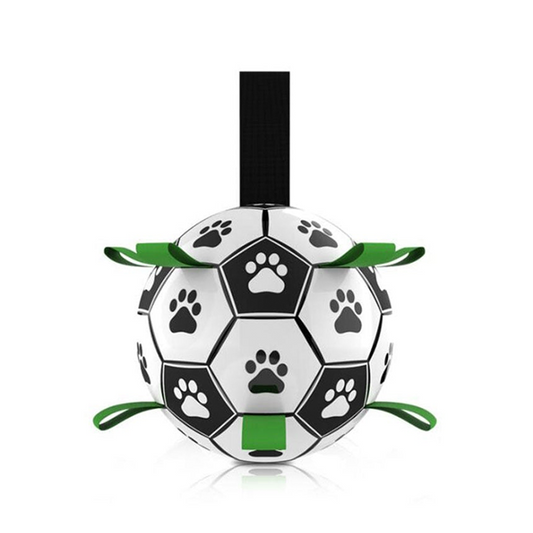 Interactive Pet Football Toy
