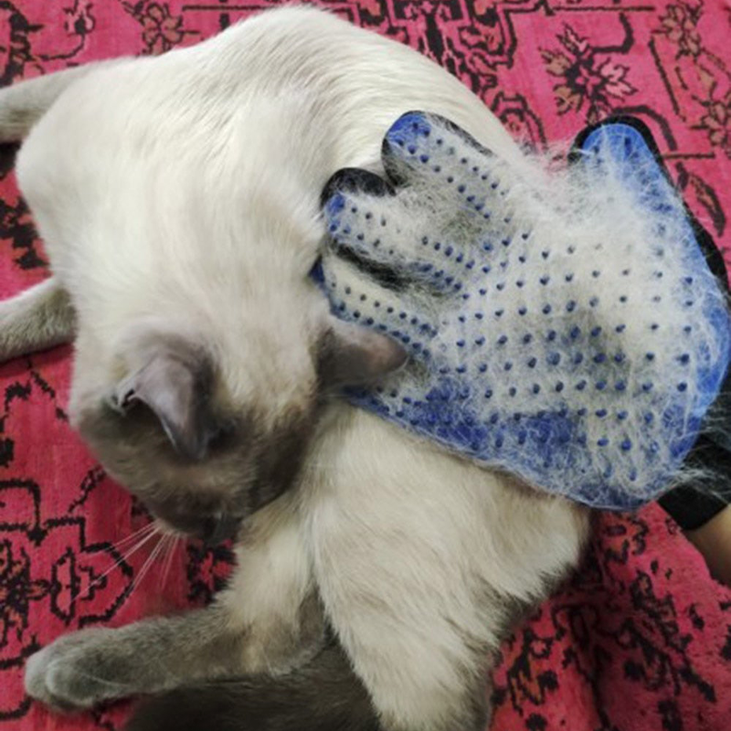 Pet Grooming Glove Brush