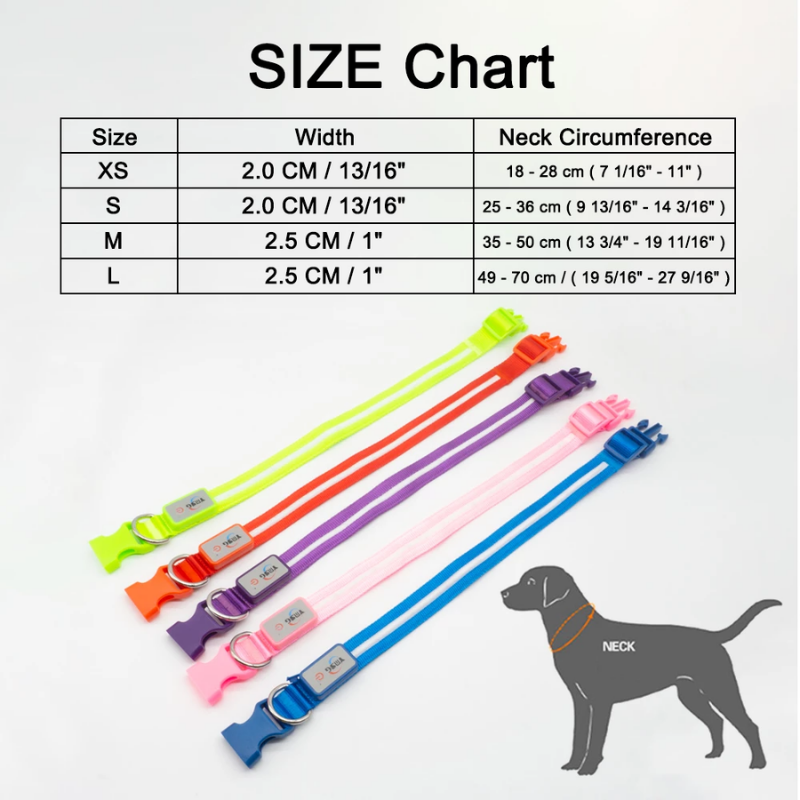 Fashion LED Dog Collar