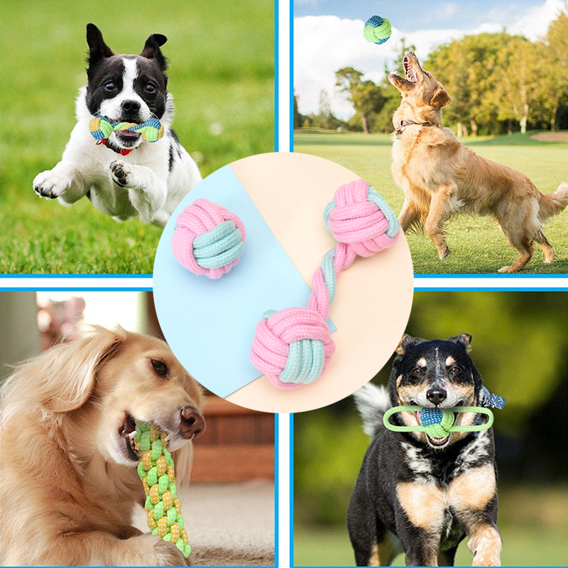 Mini Dog Interactive Cotton Rope