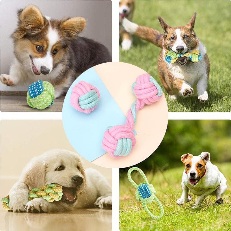 Mini Dog Interactive Cotton Rope