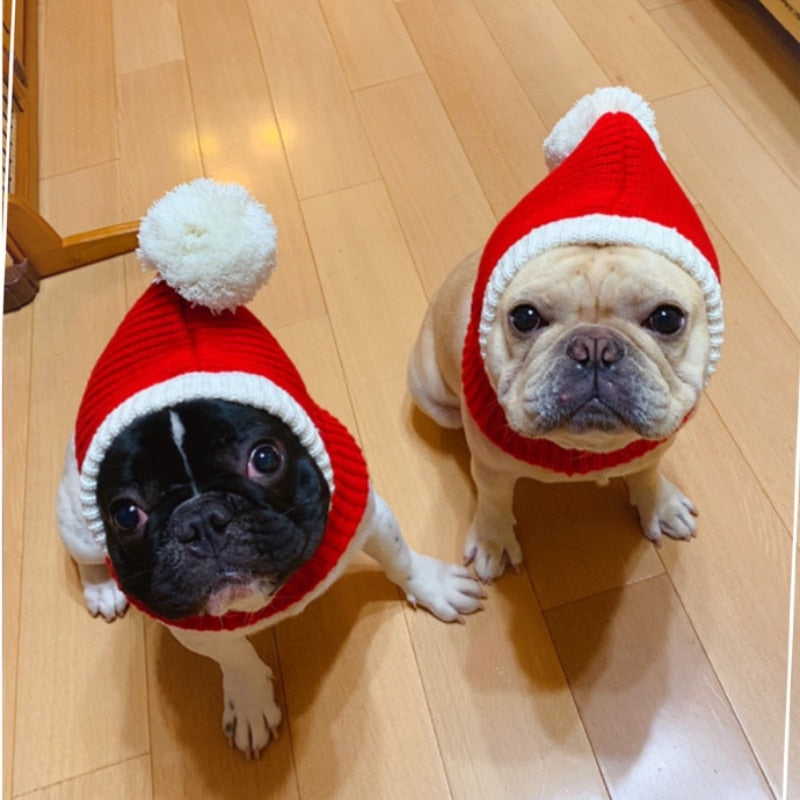 Pet Christmas Hat