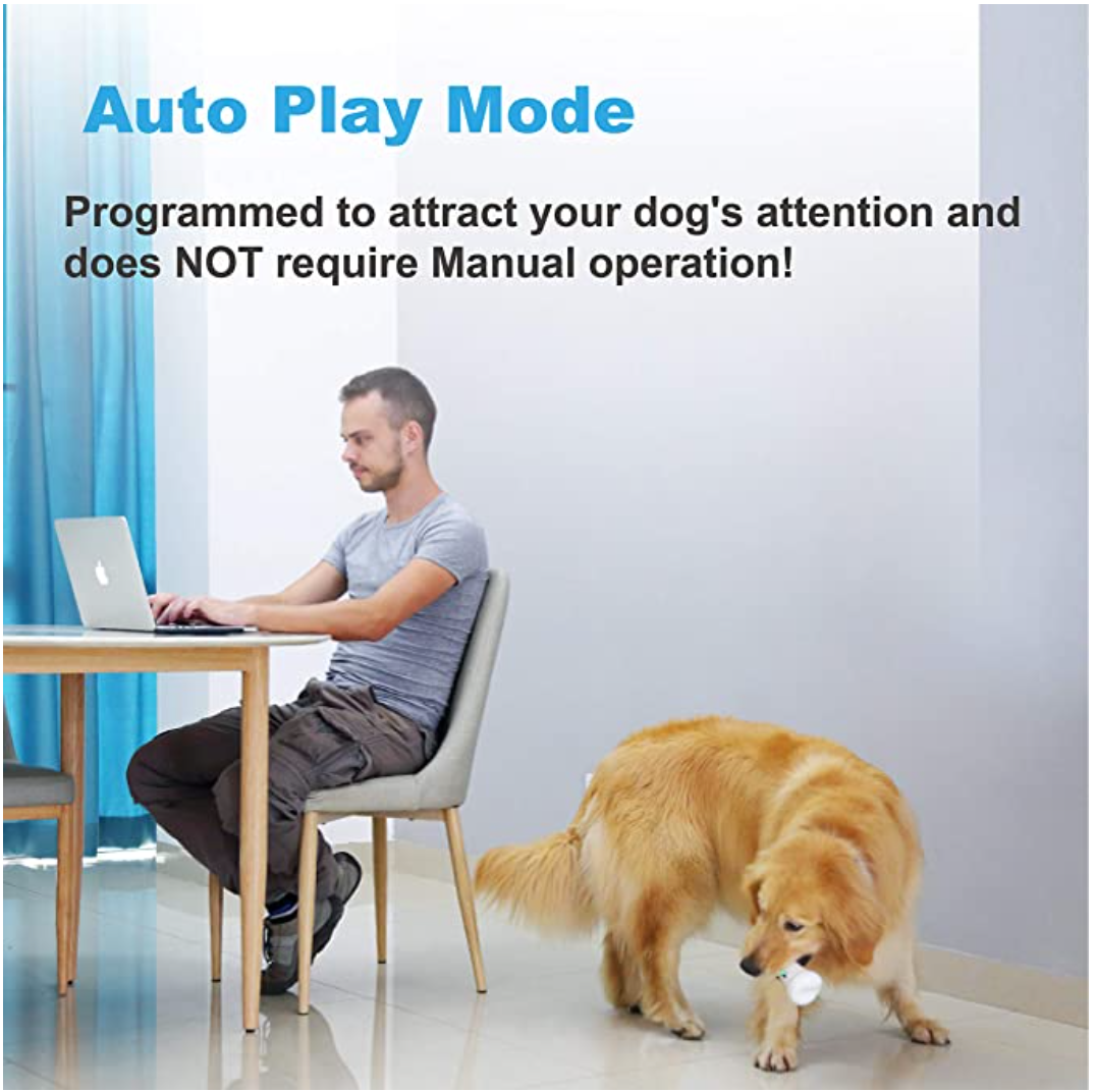 Wickedbone Smart Bone, Automatic & Interactive Toy for Dog