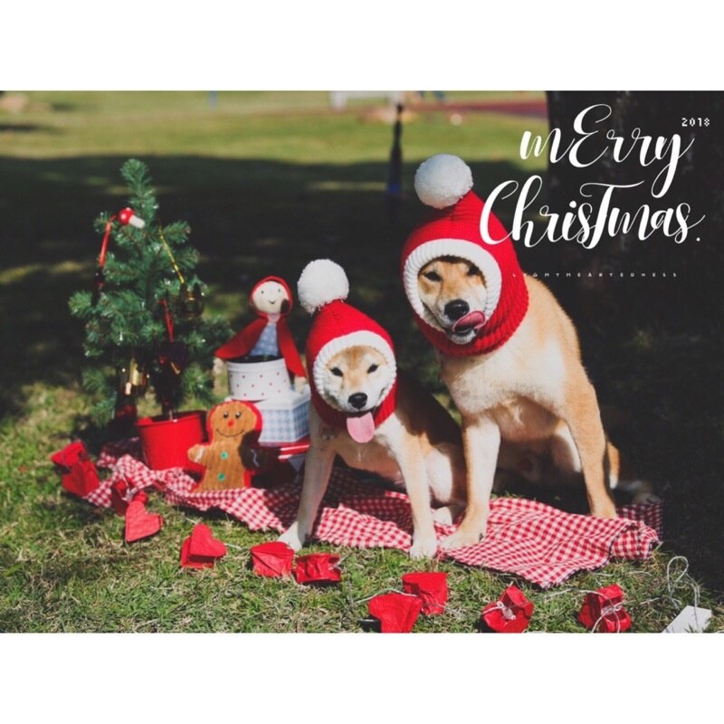 Pet Christmas Hat