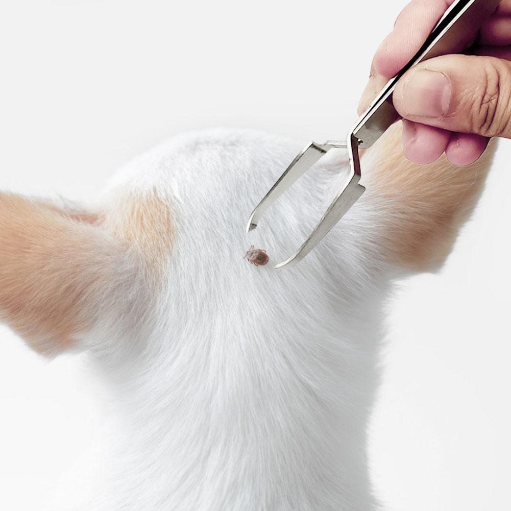 Pet Flea Remover Tool