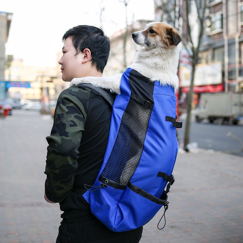 Outdoor Travel Pet Backpack