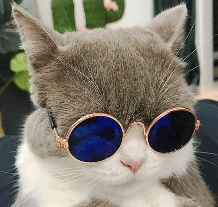 Cute Retro Pet Sunglasses