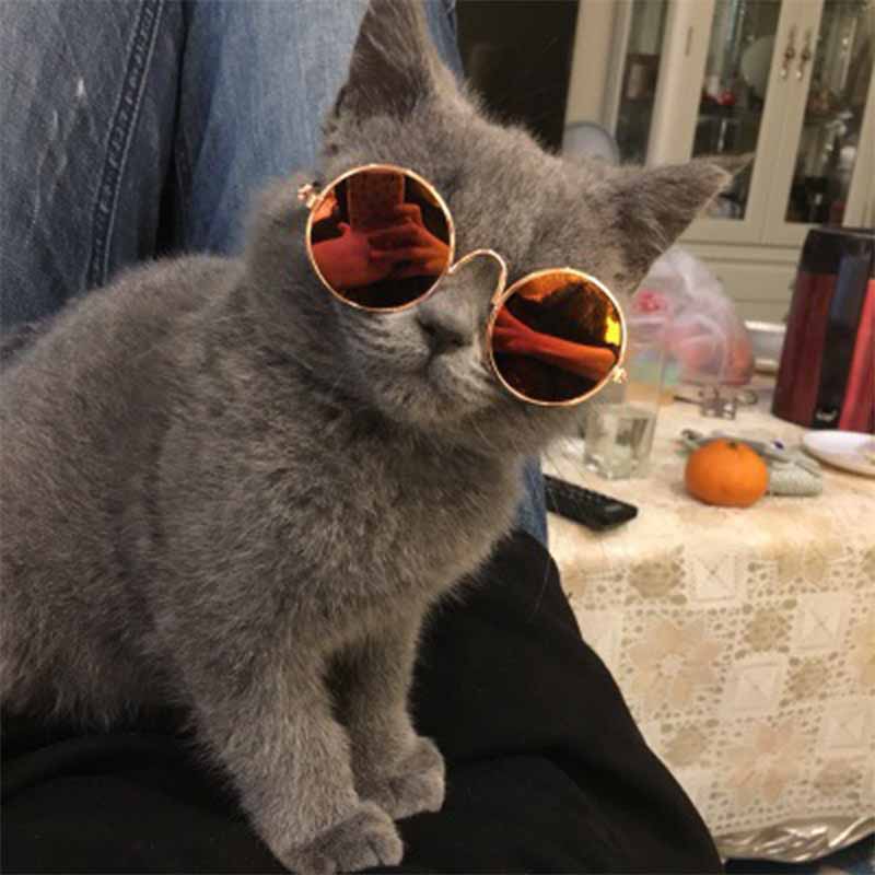 Cute Retro Pet Sunglasses