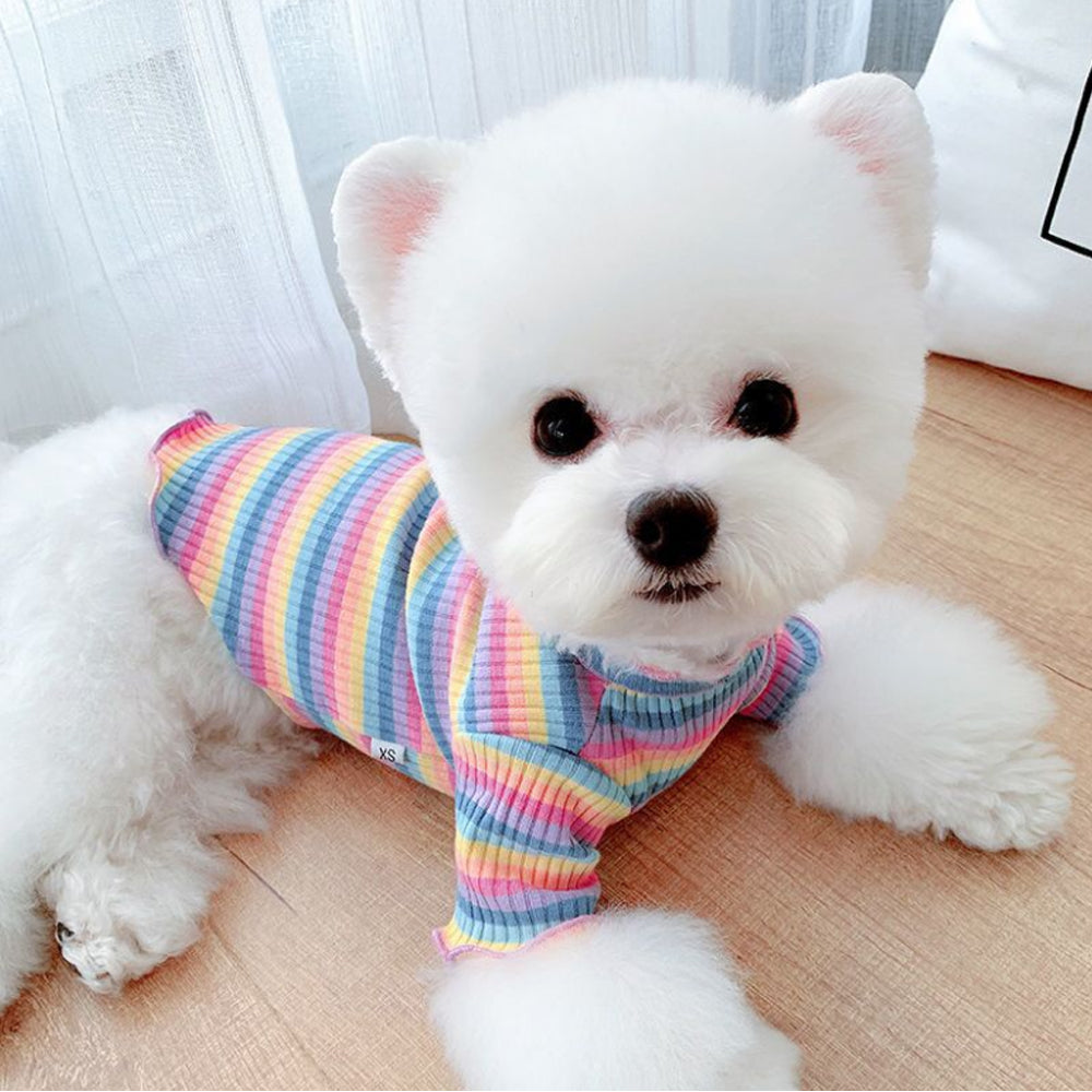 Color Stripes Puppy Vest Clothes