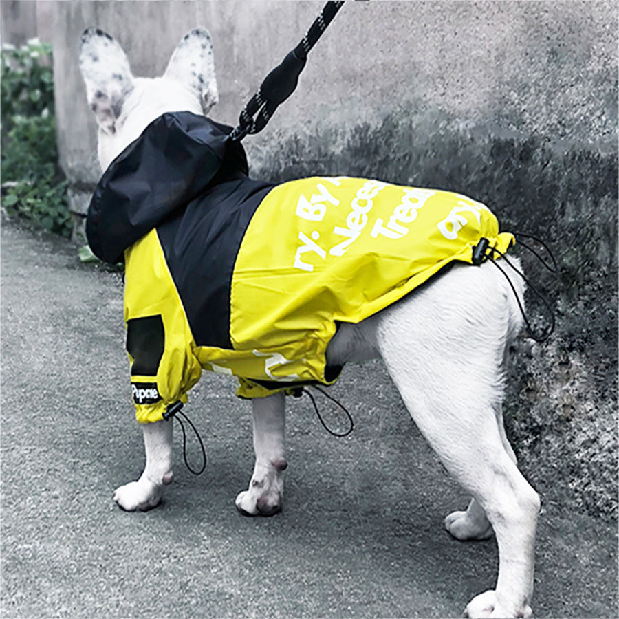 Dog Windproof Letter Hoodie