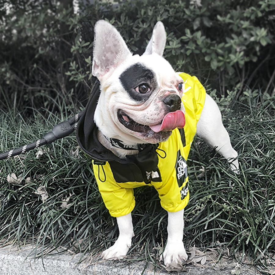 Dog Windproof Letter Hoodie