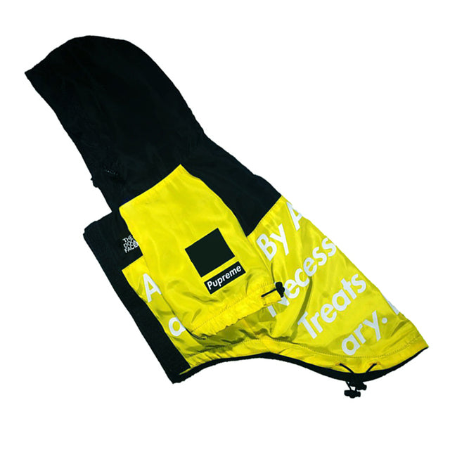 Dog Windproof Letter Hoodie
