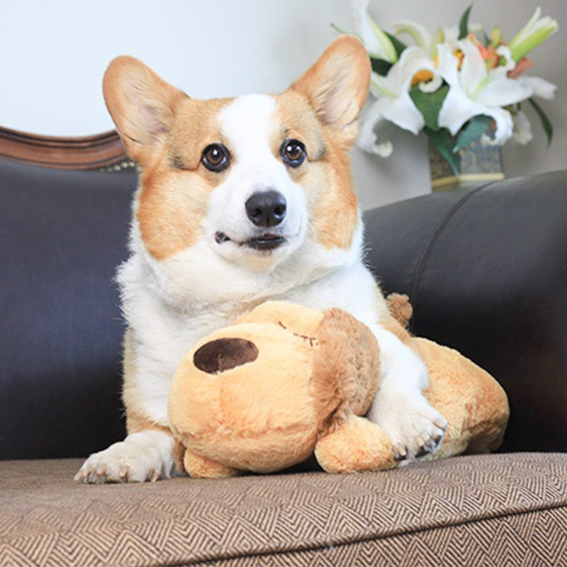 Plush Pet Toy