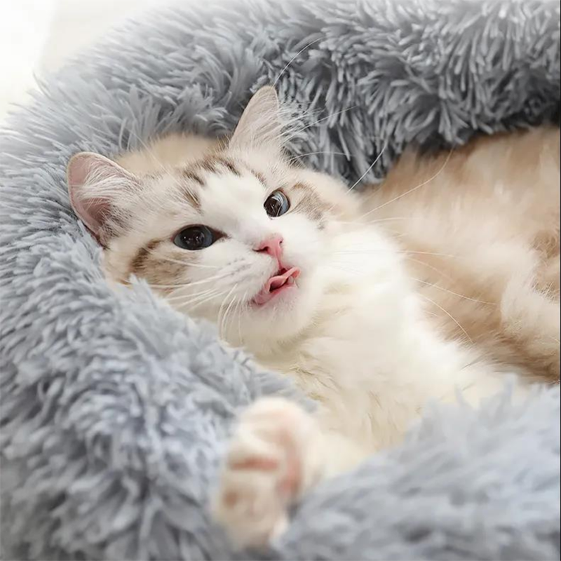 Super Soft Pet Bed