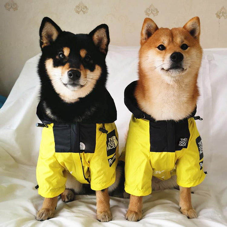 Dog Windproof Letter Hoodie