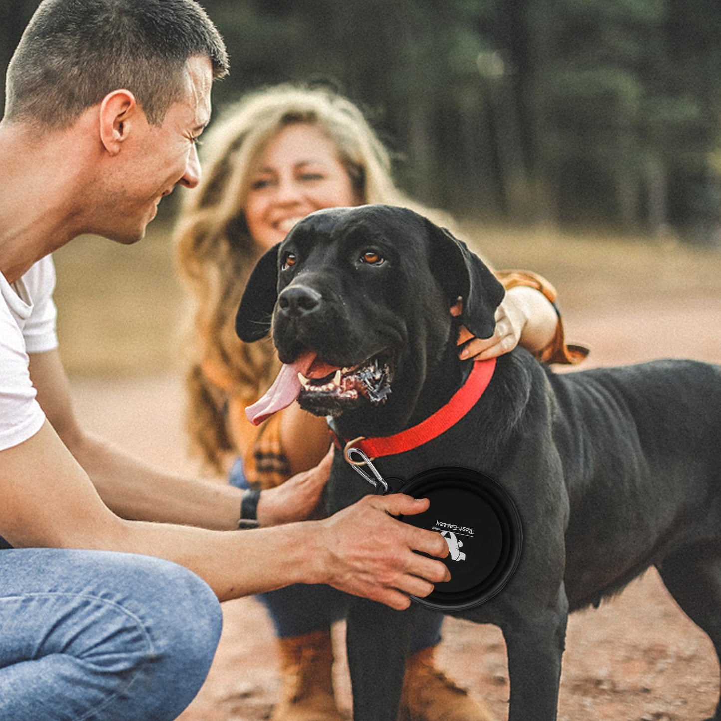 Collapsible Dog Bowl