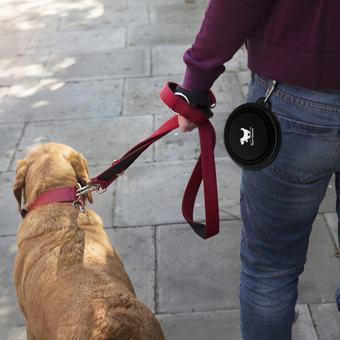 Collapsible Dog Bowl