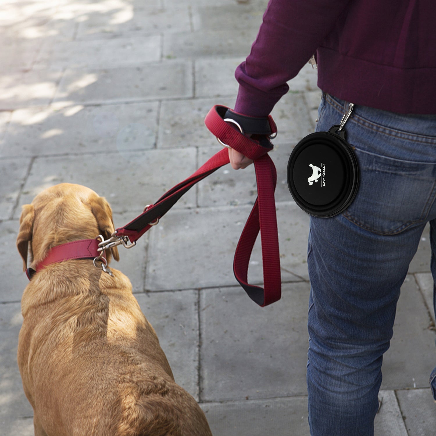 Collapsible Dog Bowl
