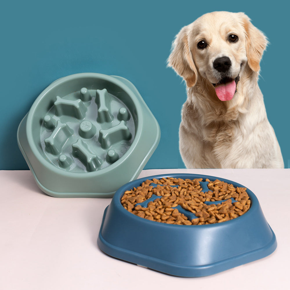 Pet Slow Feeder