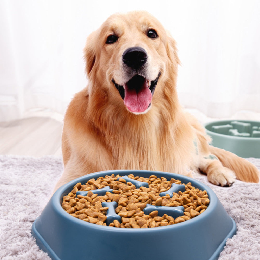 Pet Slow Feeder