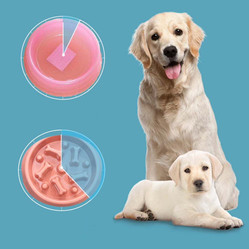 Pet Slow Feeder