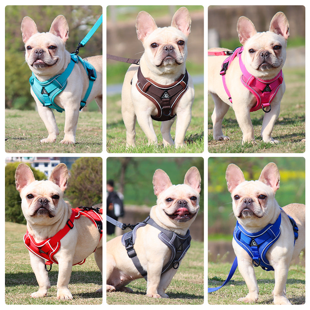 Pet Reflective Nylon Harness
