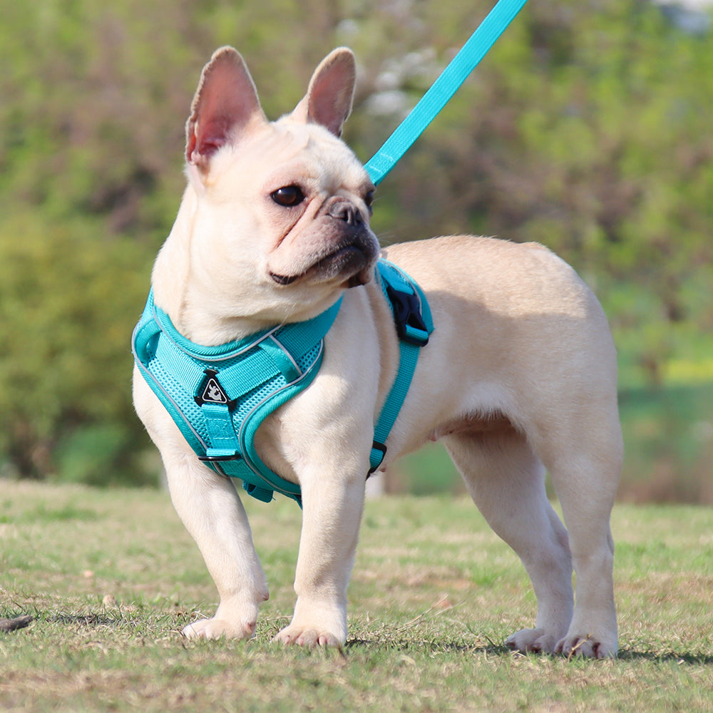 Pet Reflective Nylon Harness