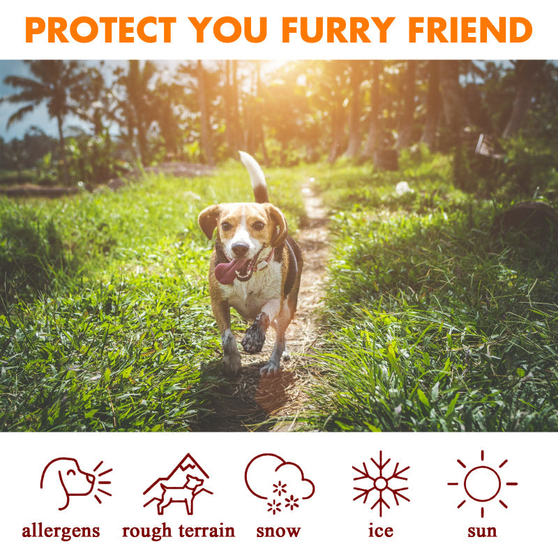 Pet Paw Care Cream