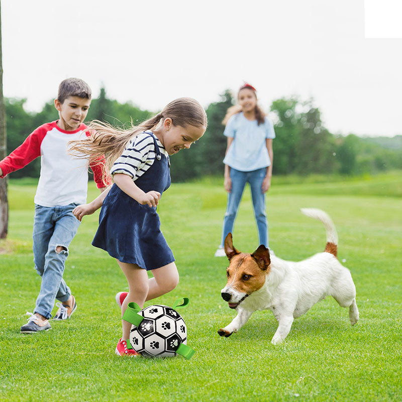 Interactive Pet Football Toy