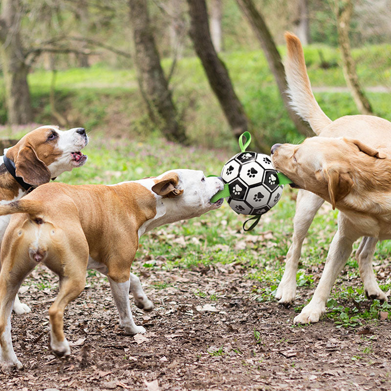 Interactive Pet Football Toy
