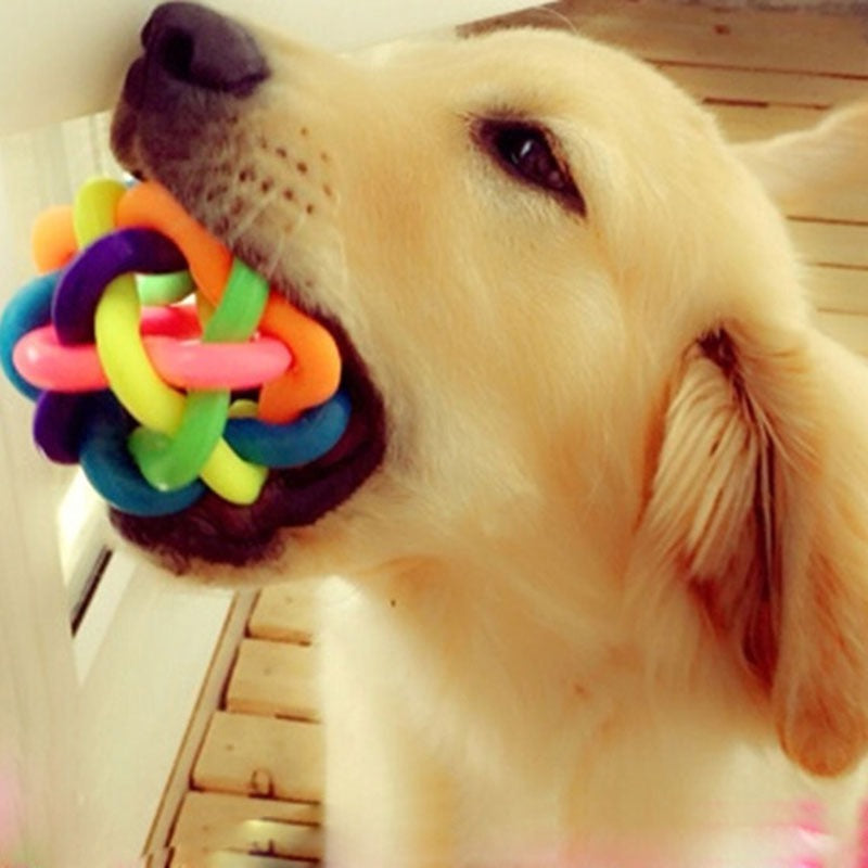 Pet Colorful Rubber Training Chew Ball