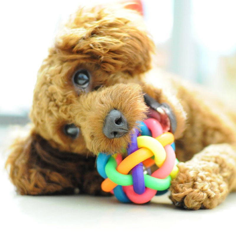 Pet Colorful Rubber Training Chew Ball