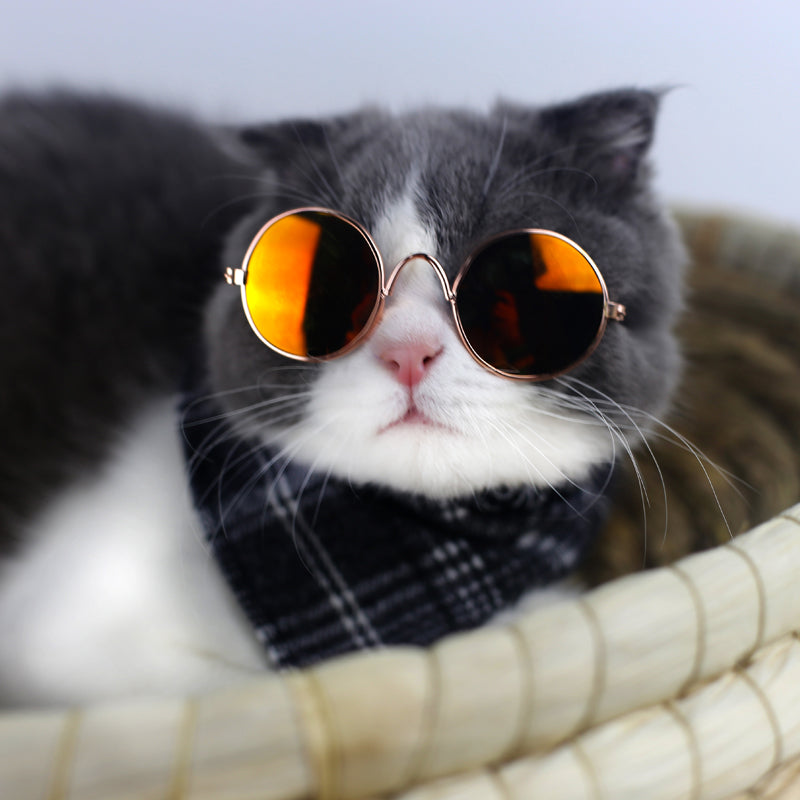 Cute Retro Pet Sunglasses