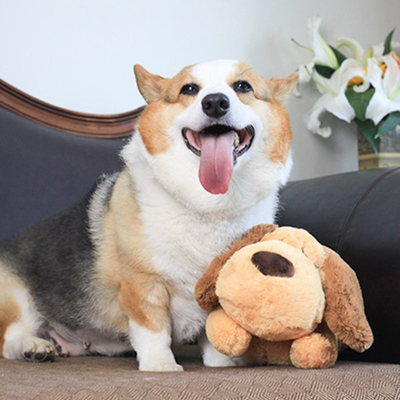 Plush Pet Toy