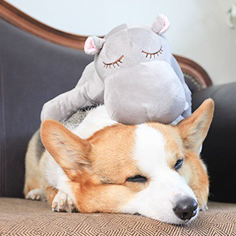 Plush Pet Toy