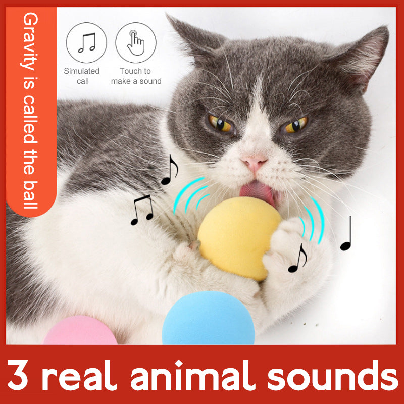 Cat Smart Touch Sound Ball