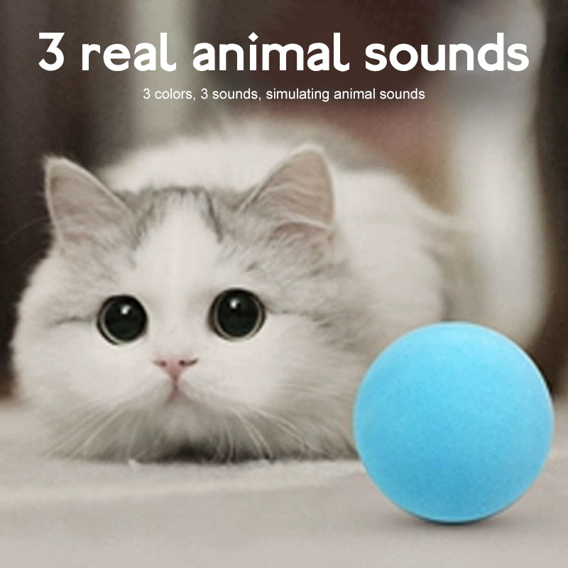 Cat Smart Touch Sound Ball