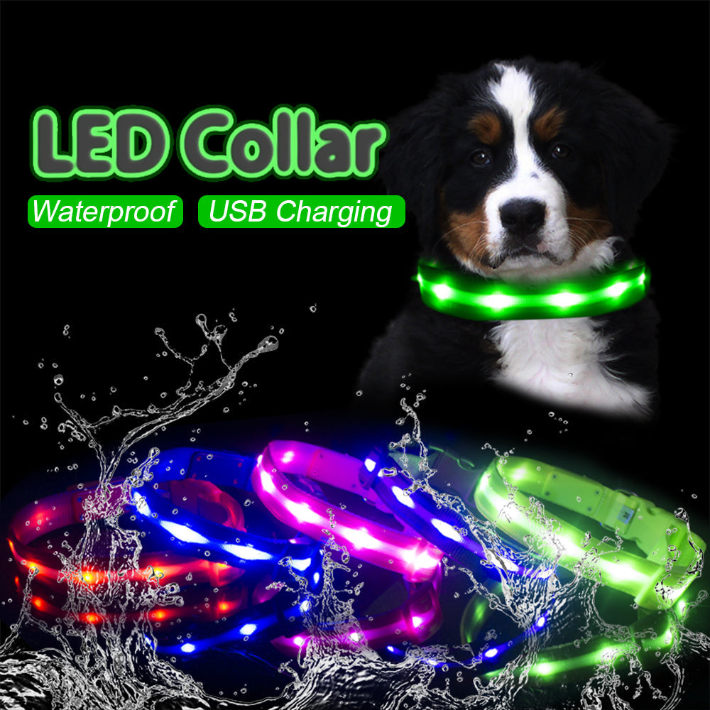 Fashion LED Dog Collar
