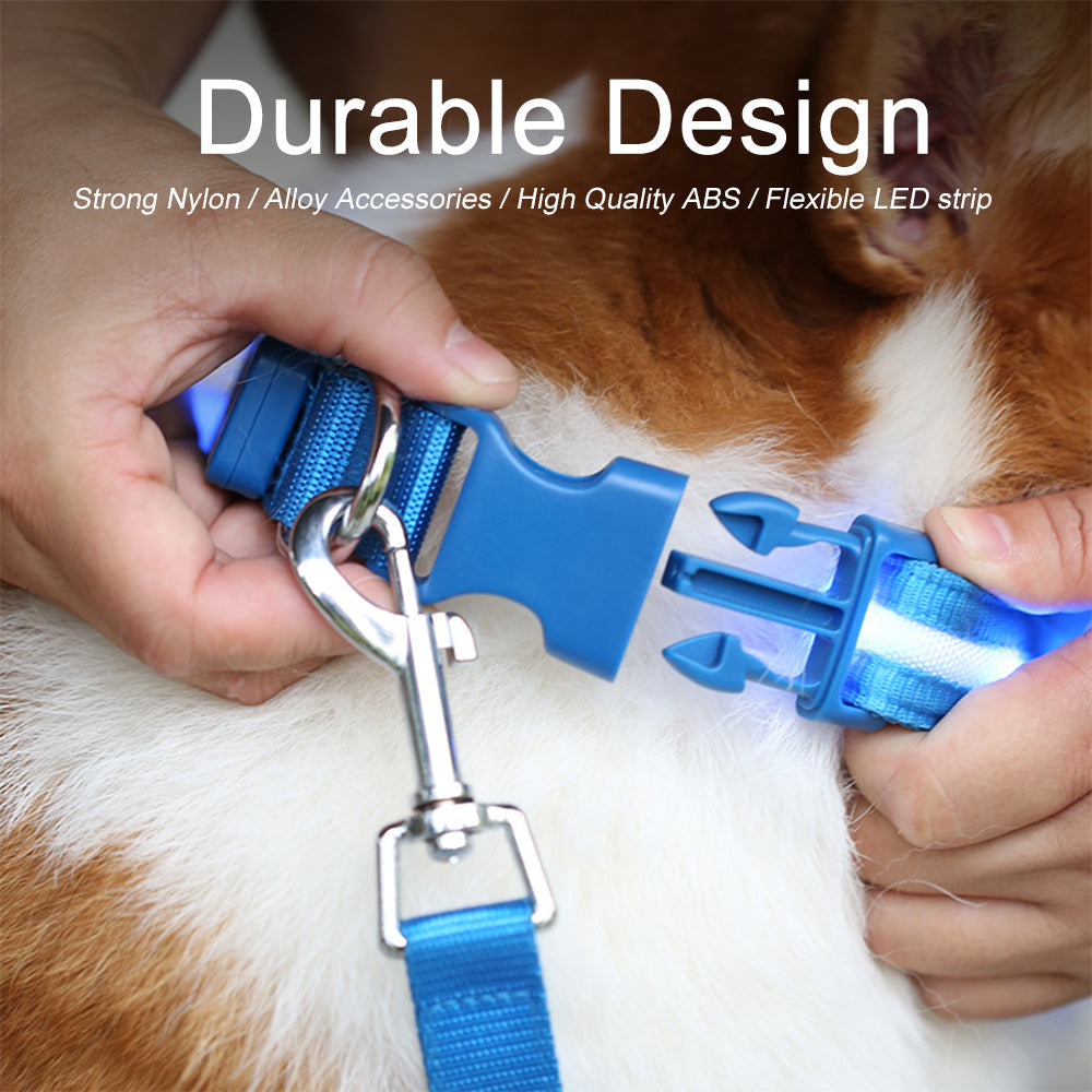 Fashion LED Dog Collar
