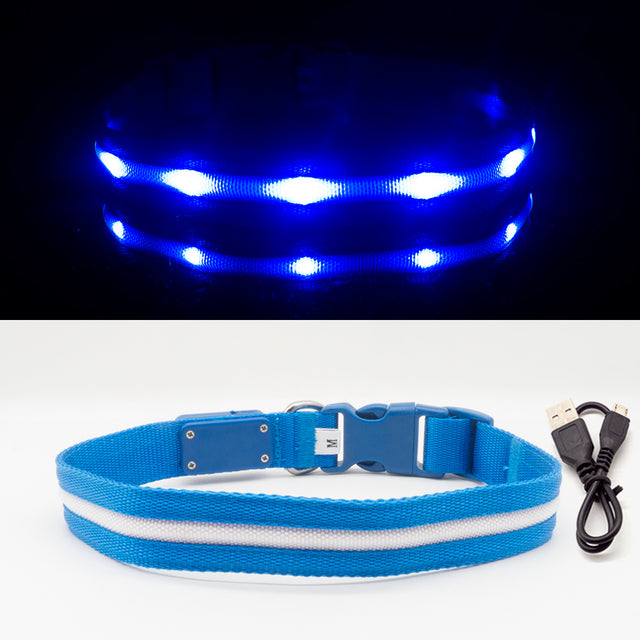 Fashion LED Dog Collar