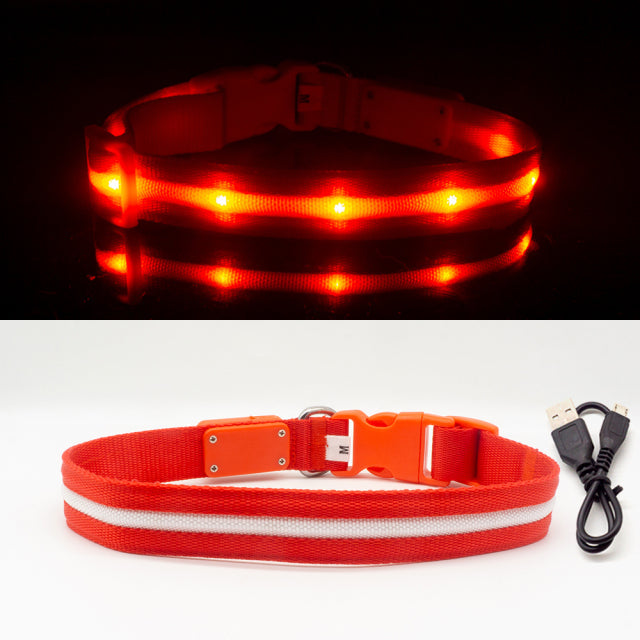 Fashion LED Dog Collar