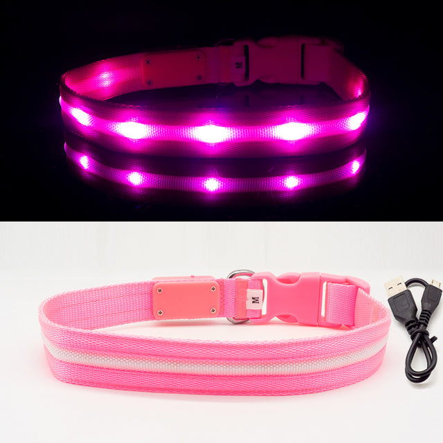 Fashion LED Dog Collar