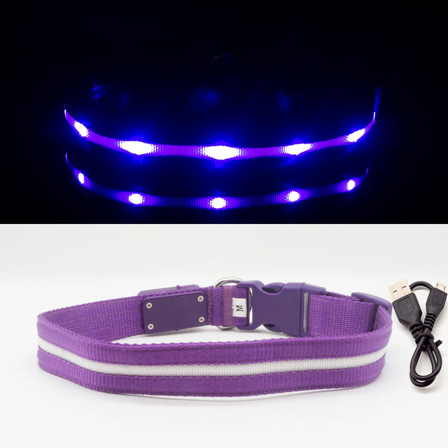 Fashion LED Dog Collar