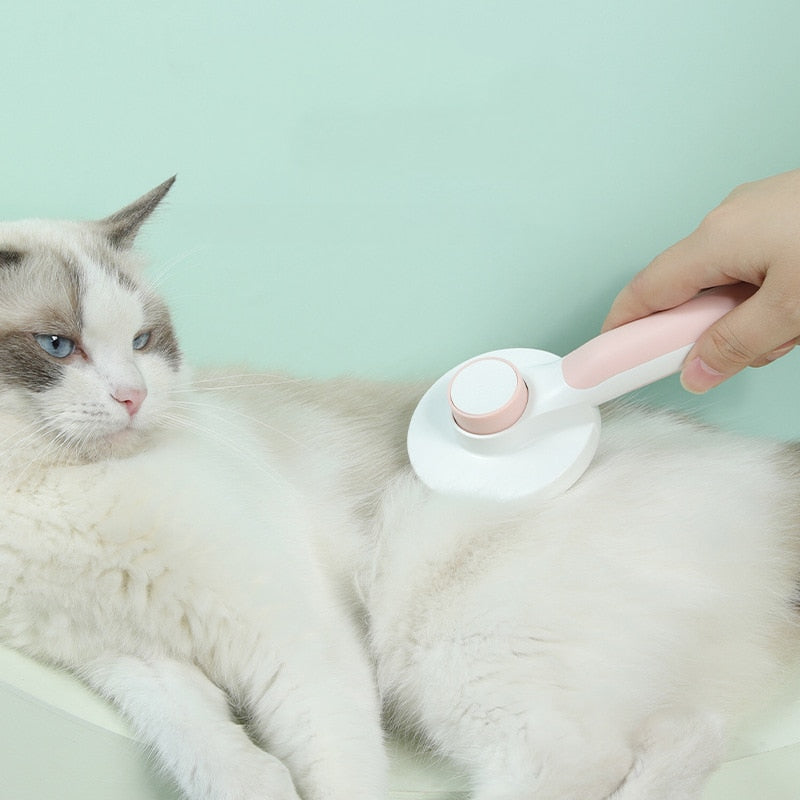 Self Cleaning Slicker Brush